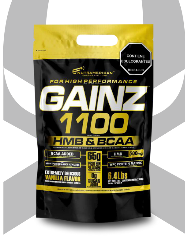 GAINZ 1100