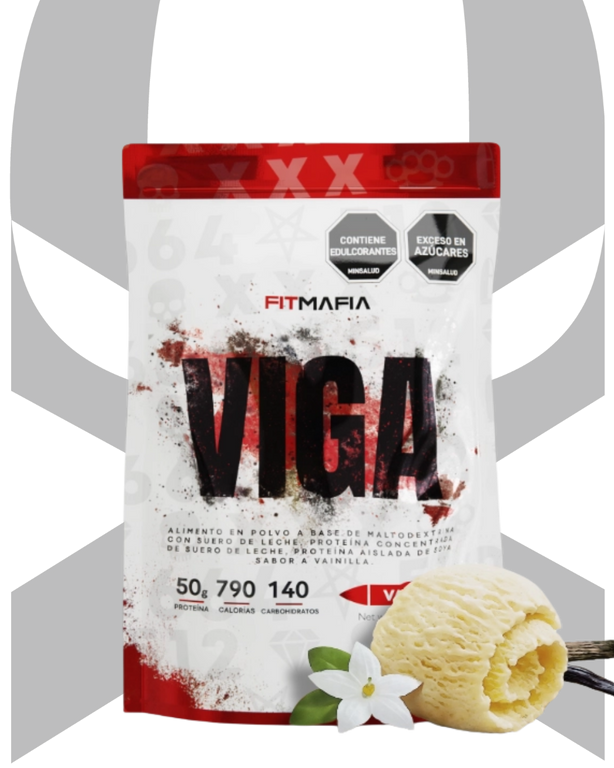 VIGA