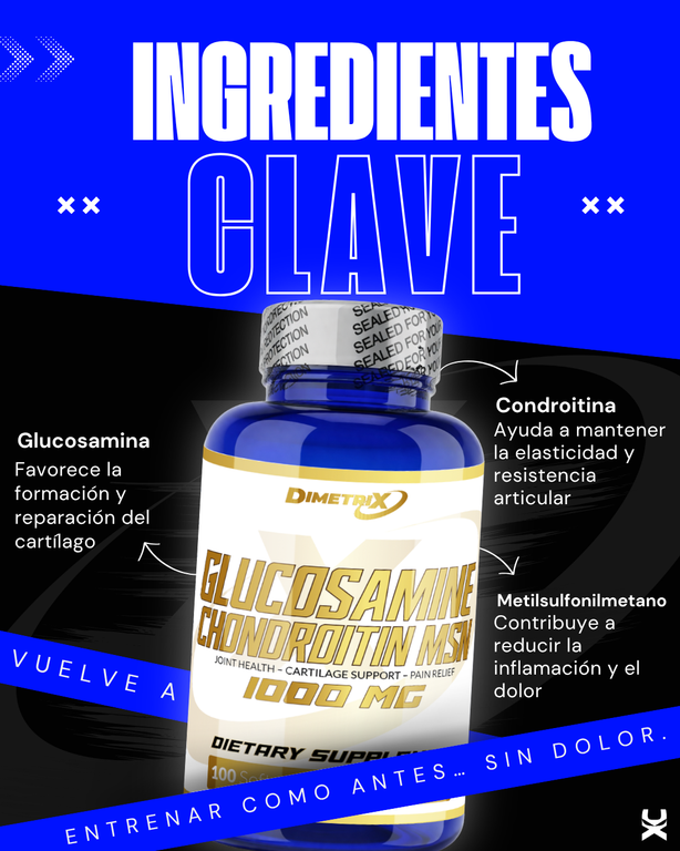Glucosamine Chondroitin MSM